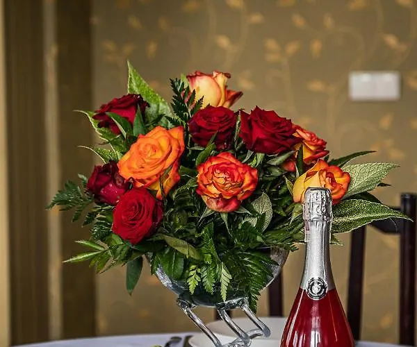 & Wellness דירה זקופאנה